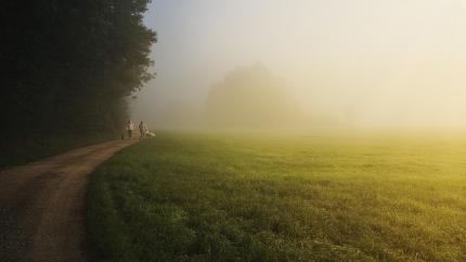 A walking path winds between trees and a sunlit field.